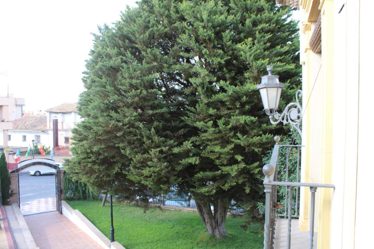 Hotel La Zubia , Granada ภายนอก รูปภาพ
